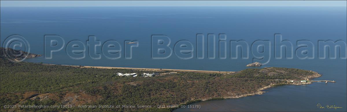 Peter Bellingham Photography Australian Institute of Marine Science - QLD (PBH4 00 15178)